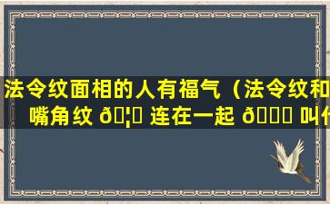 法令纹面相的人有福气（法令纹和嘴角纹 🦆 连在一起 💐 叫什么面相）